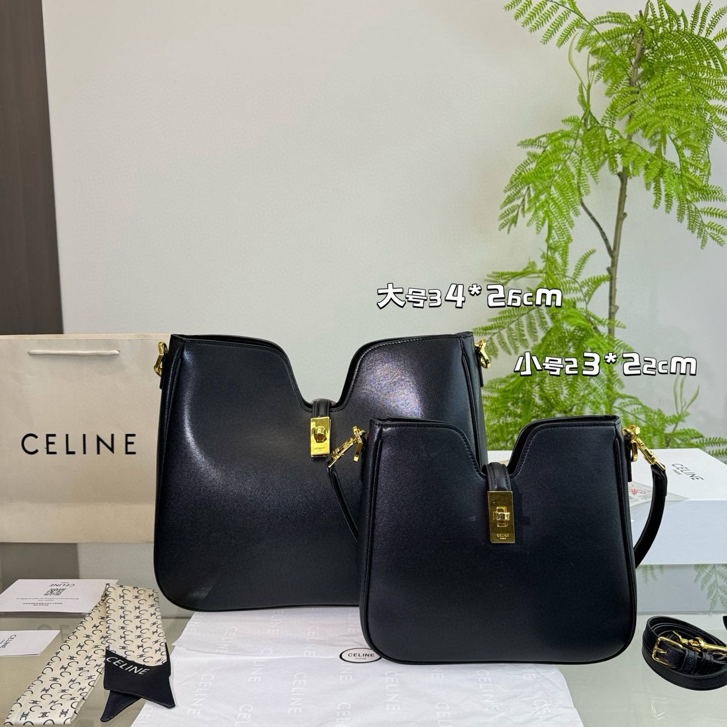 Celine Bag