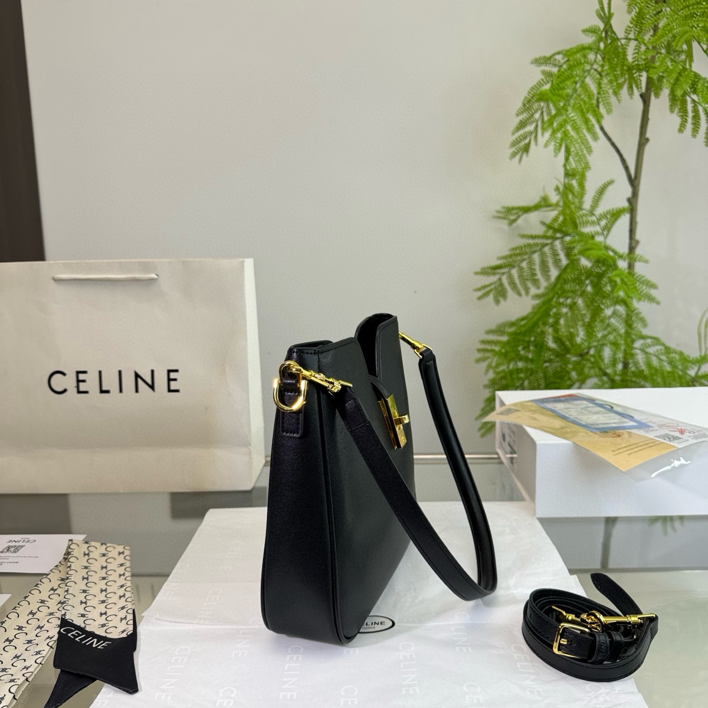 Celine Bag