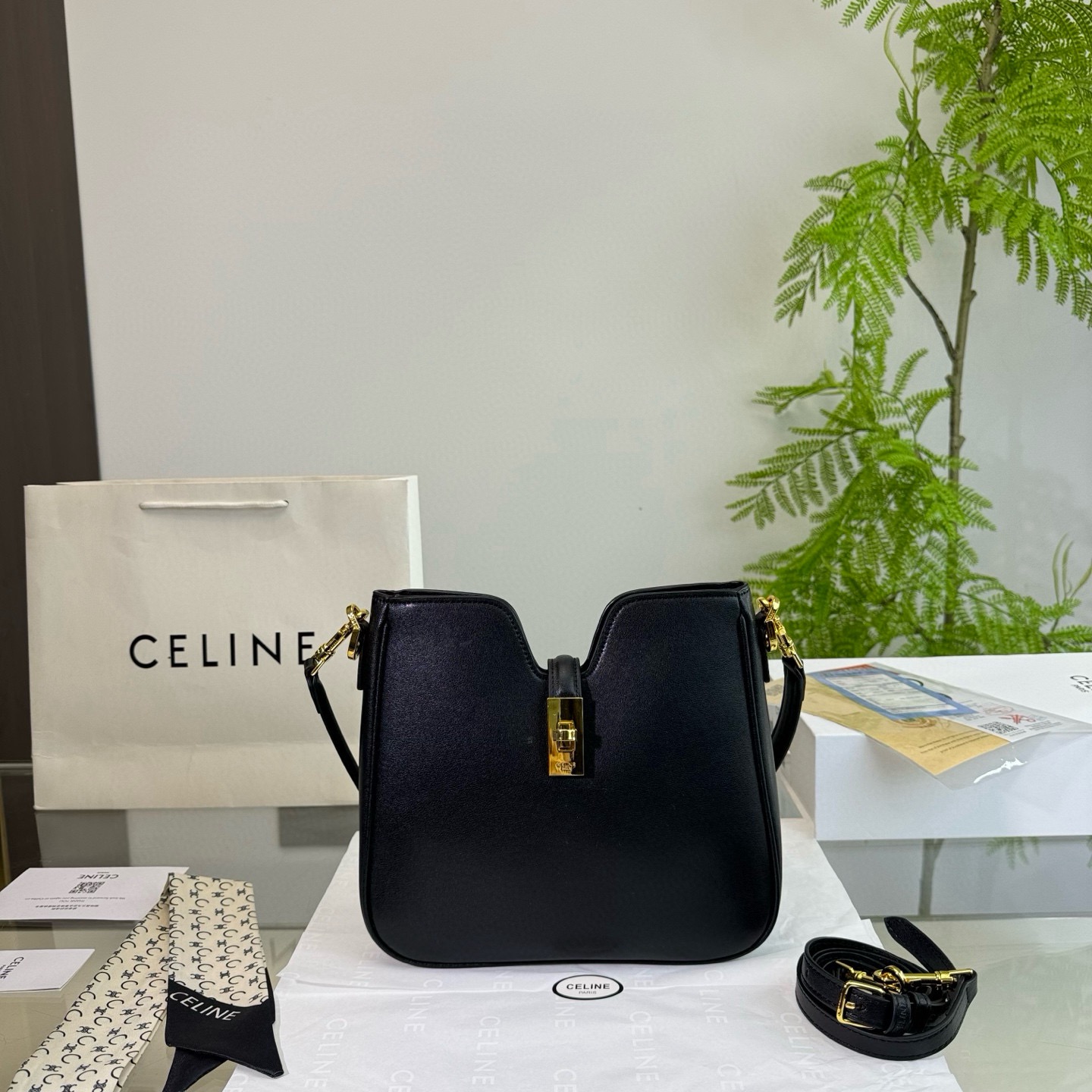 Celine Bag