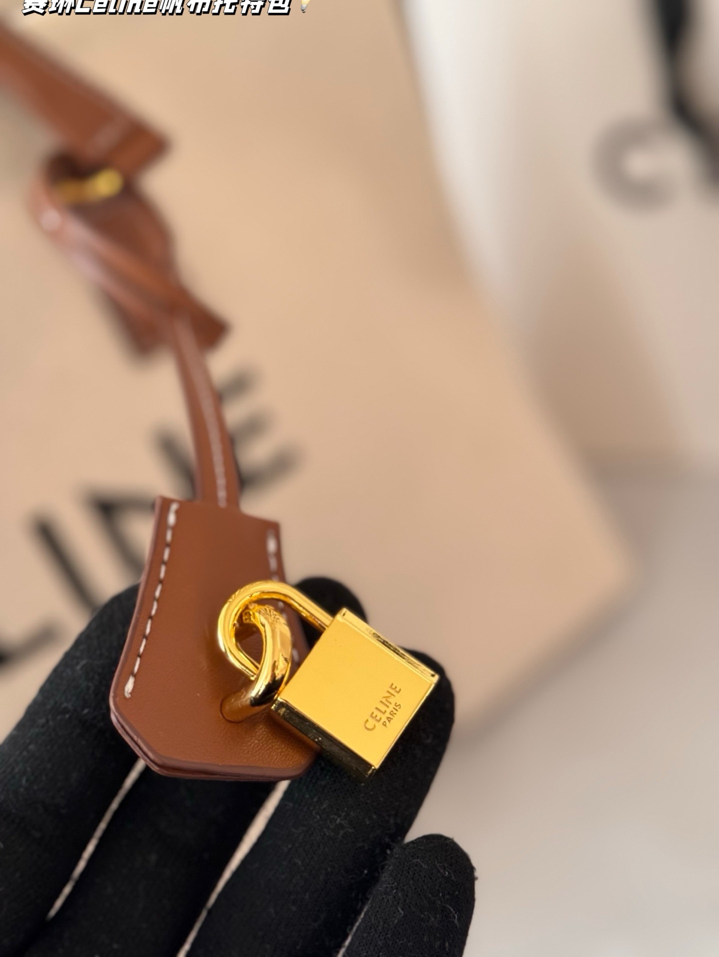 Celine Bag