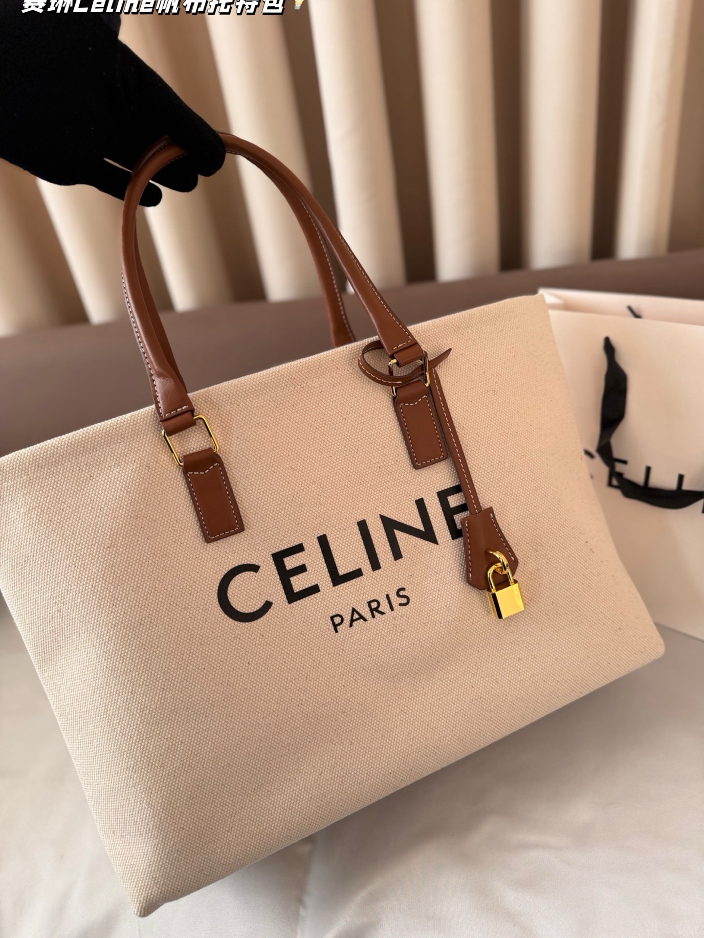 Celine Bag