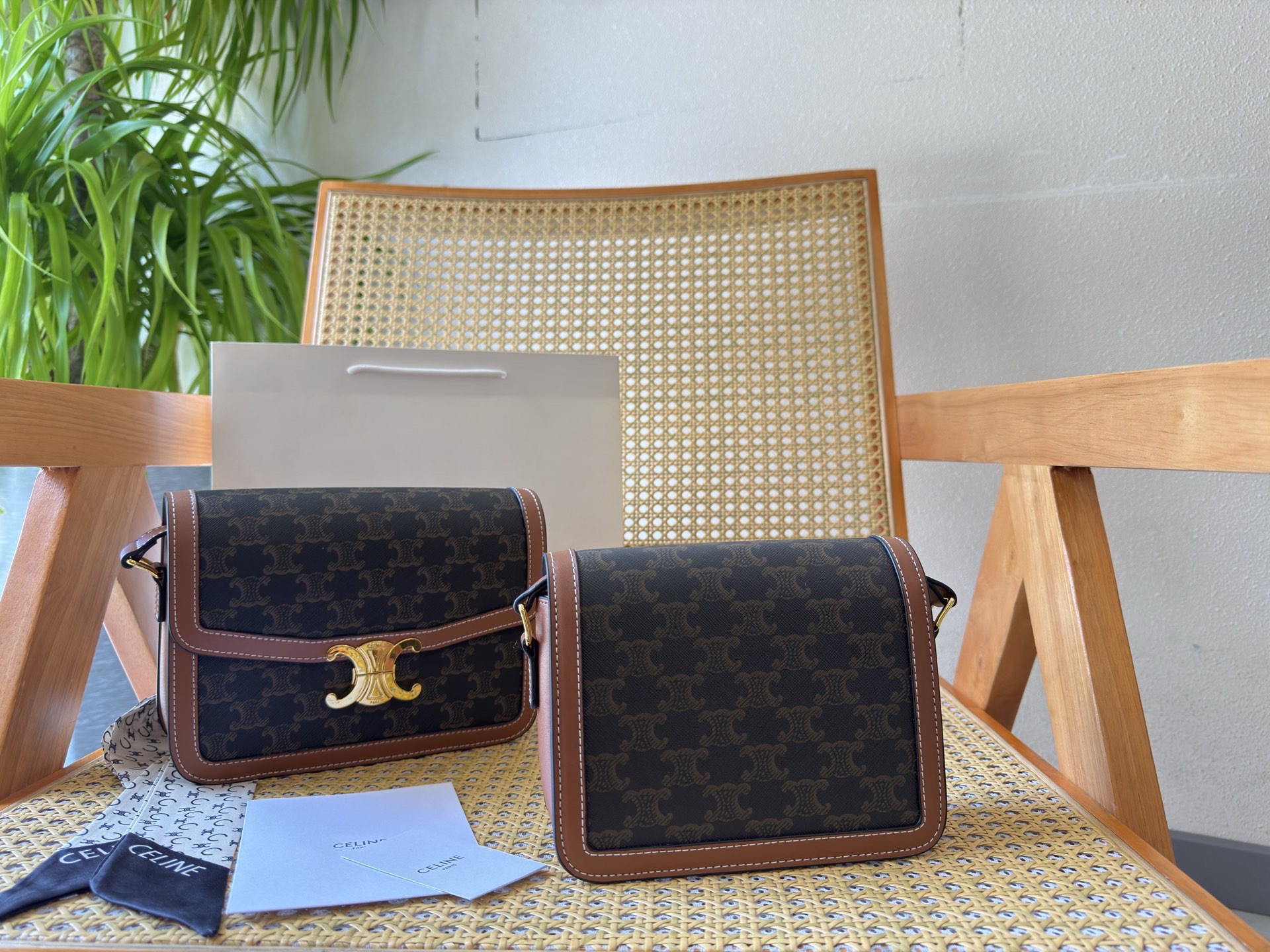 Celine Bag
