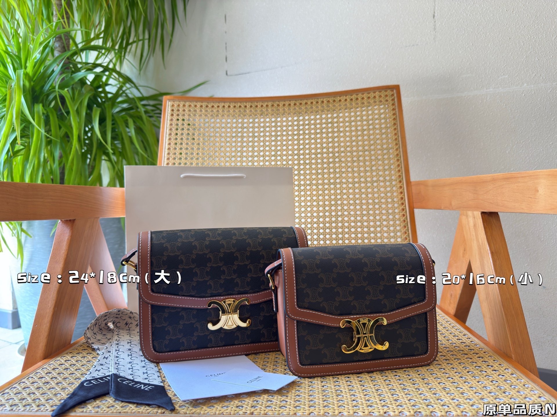 Celine Bag