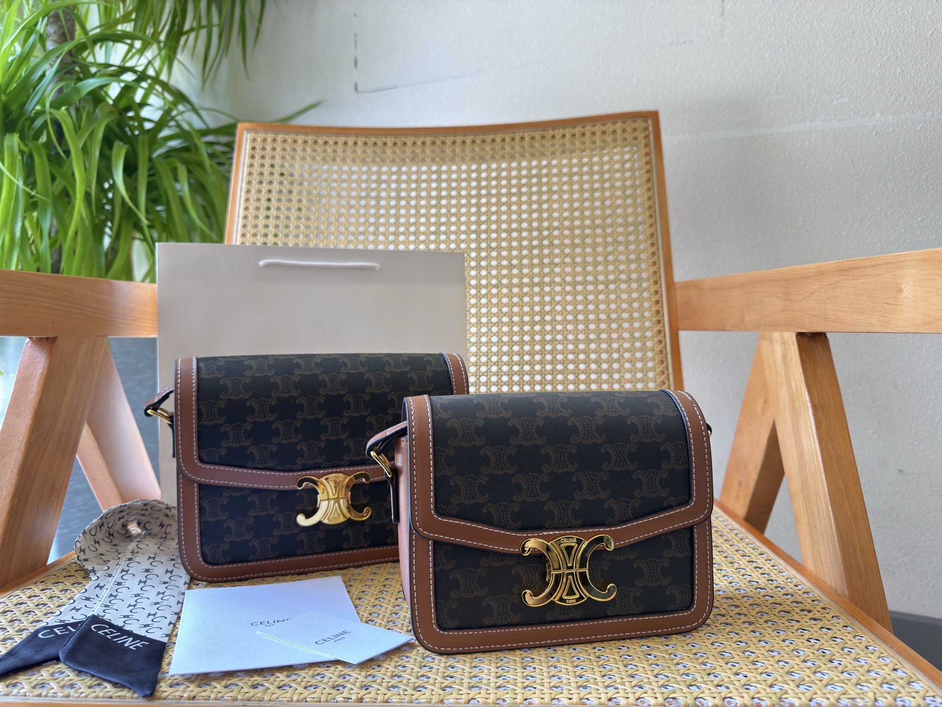 Celine Bag