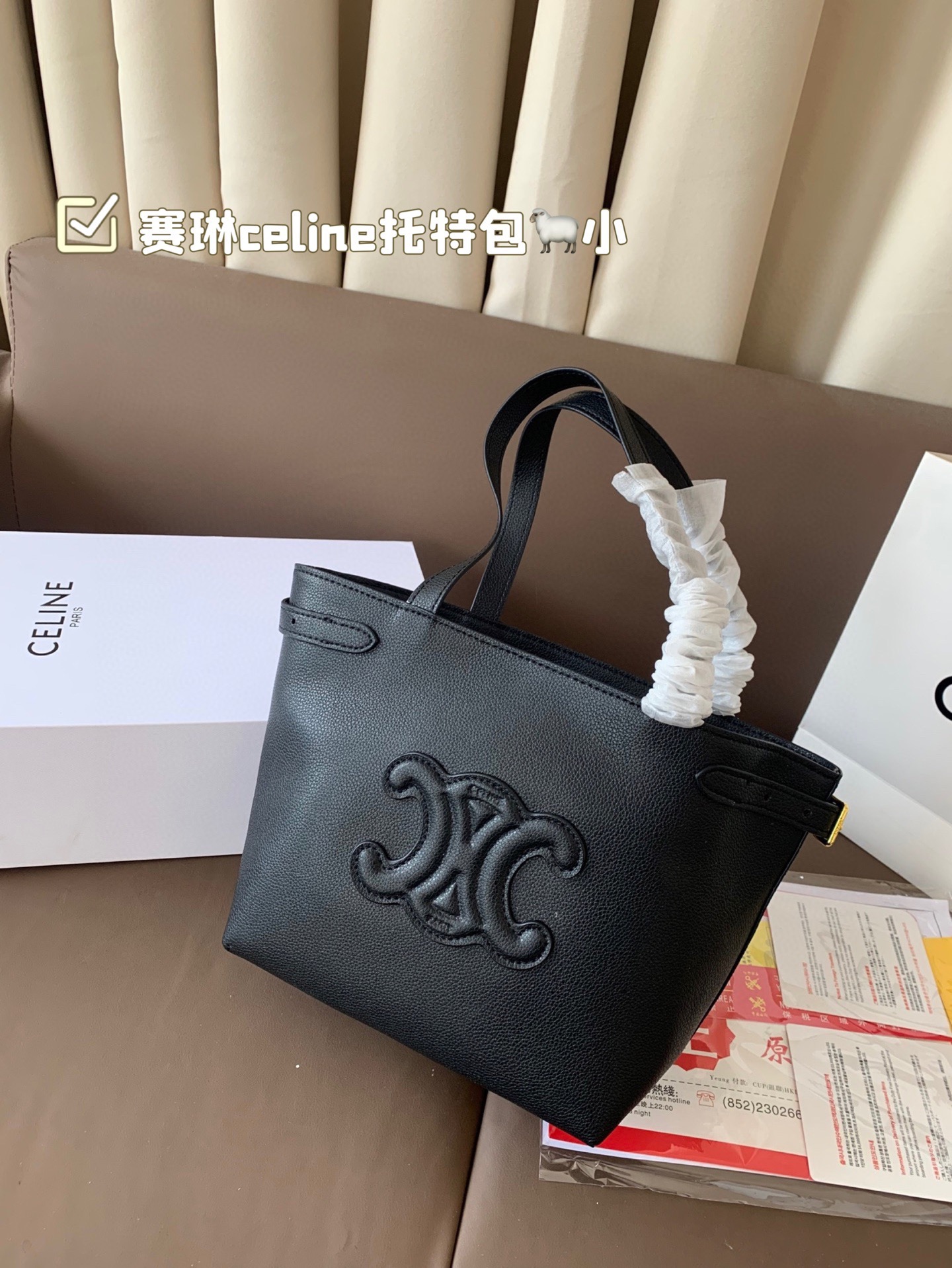 Celine Bag