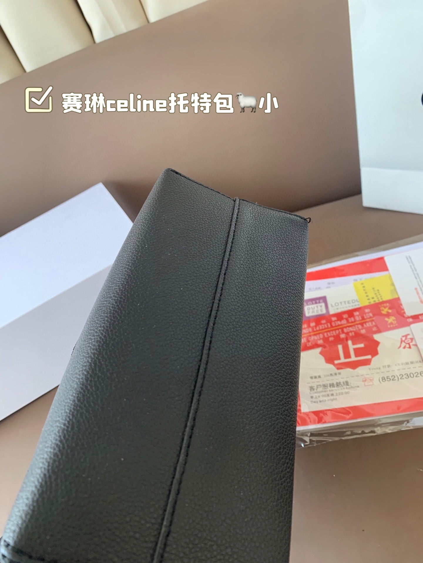 Celine Bag