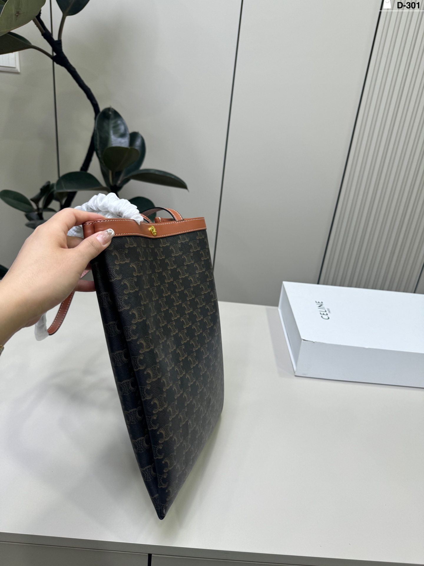 Celine Bag