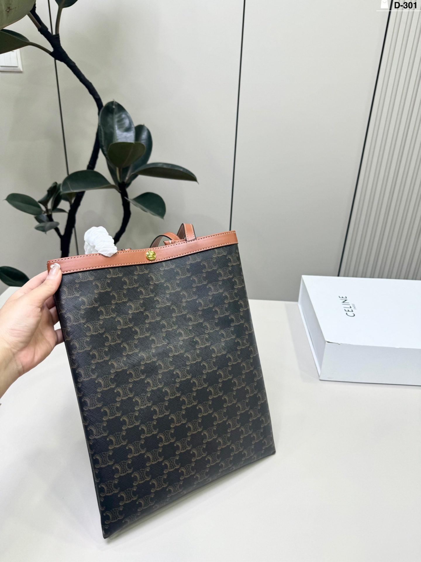 Celine Bag