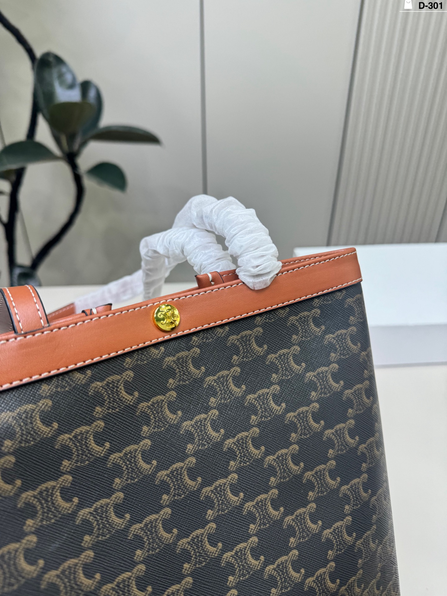 Celine Bag