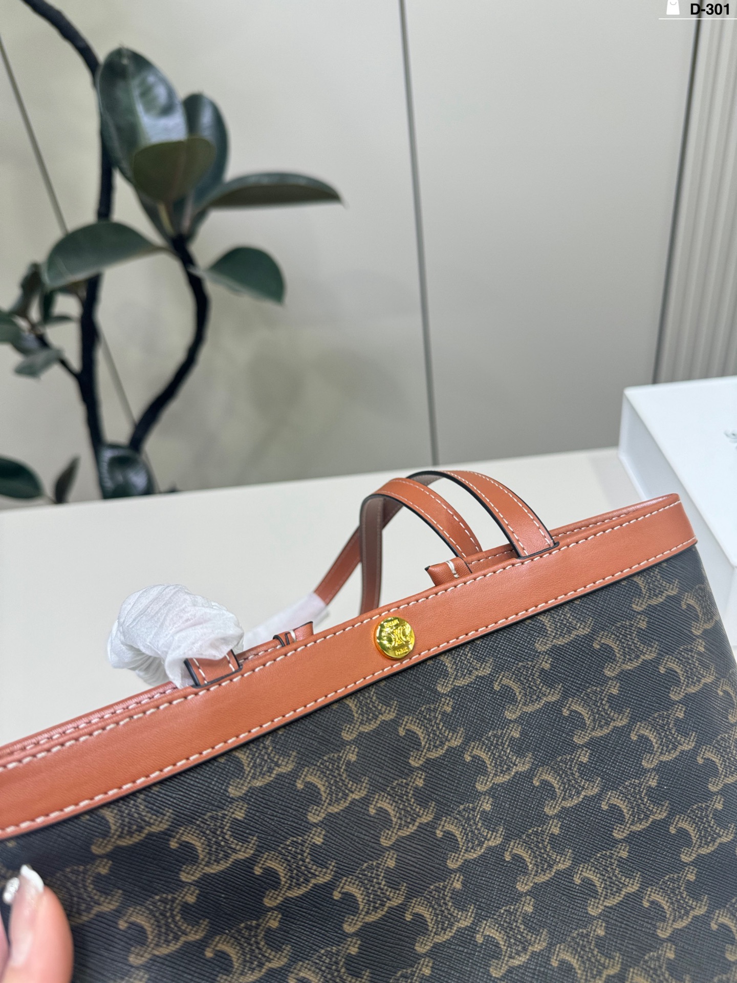 Celine Bag