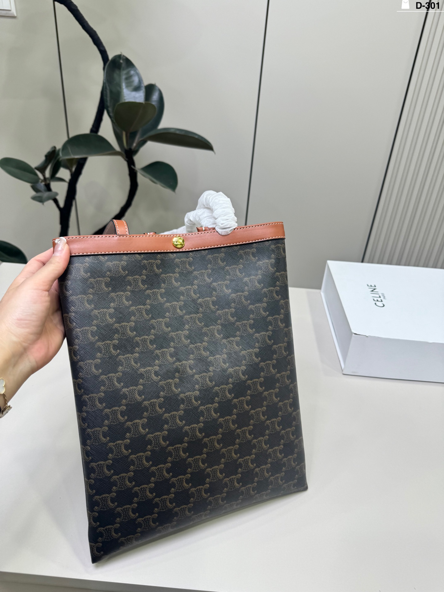 Celine Bag