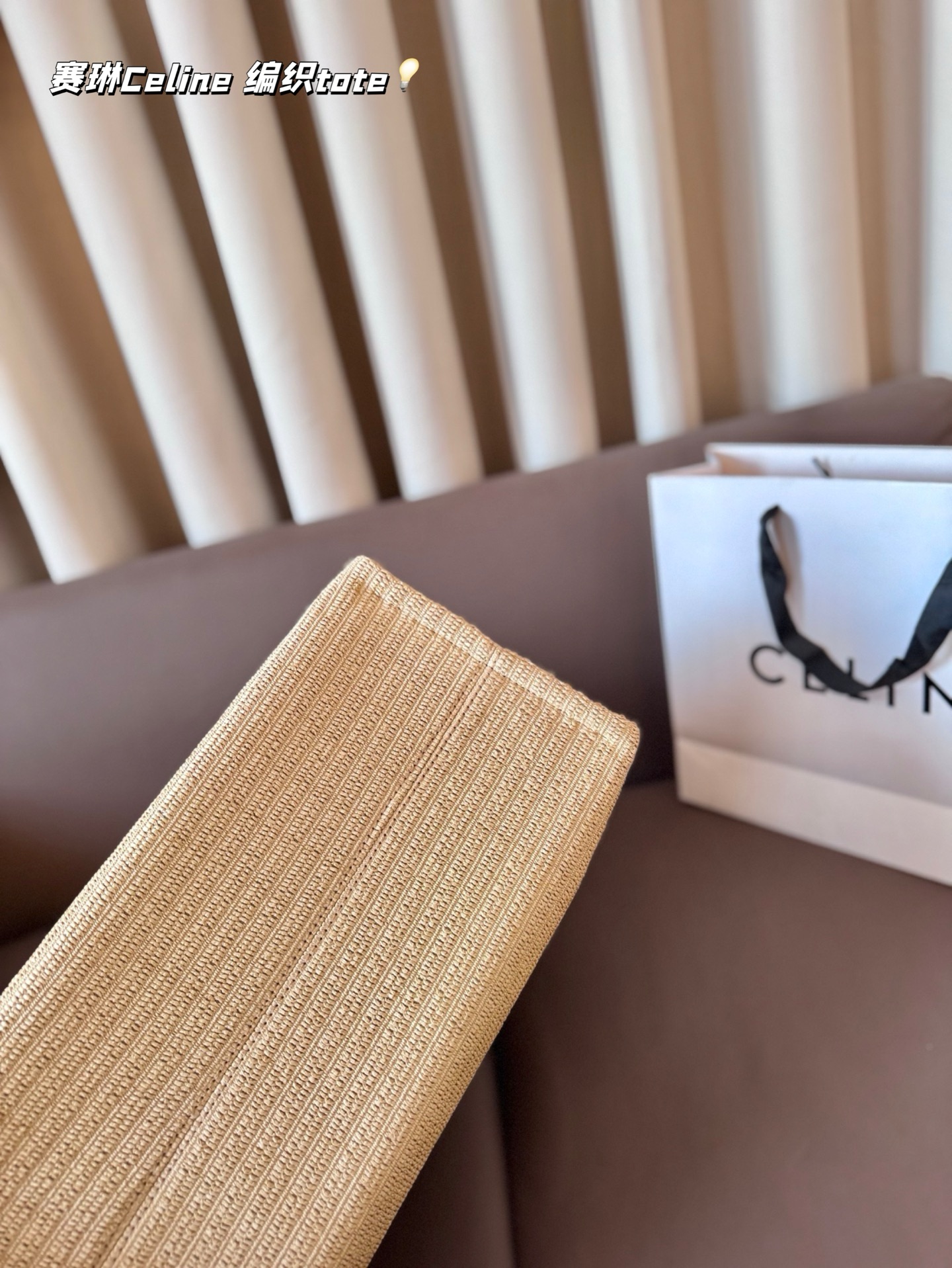 Celine Bag