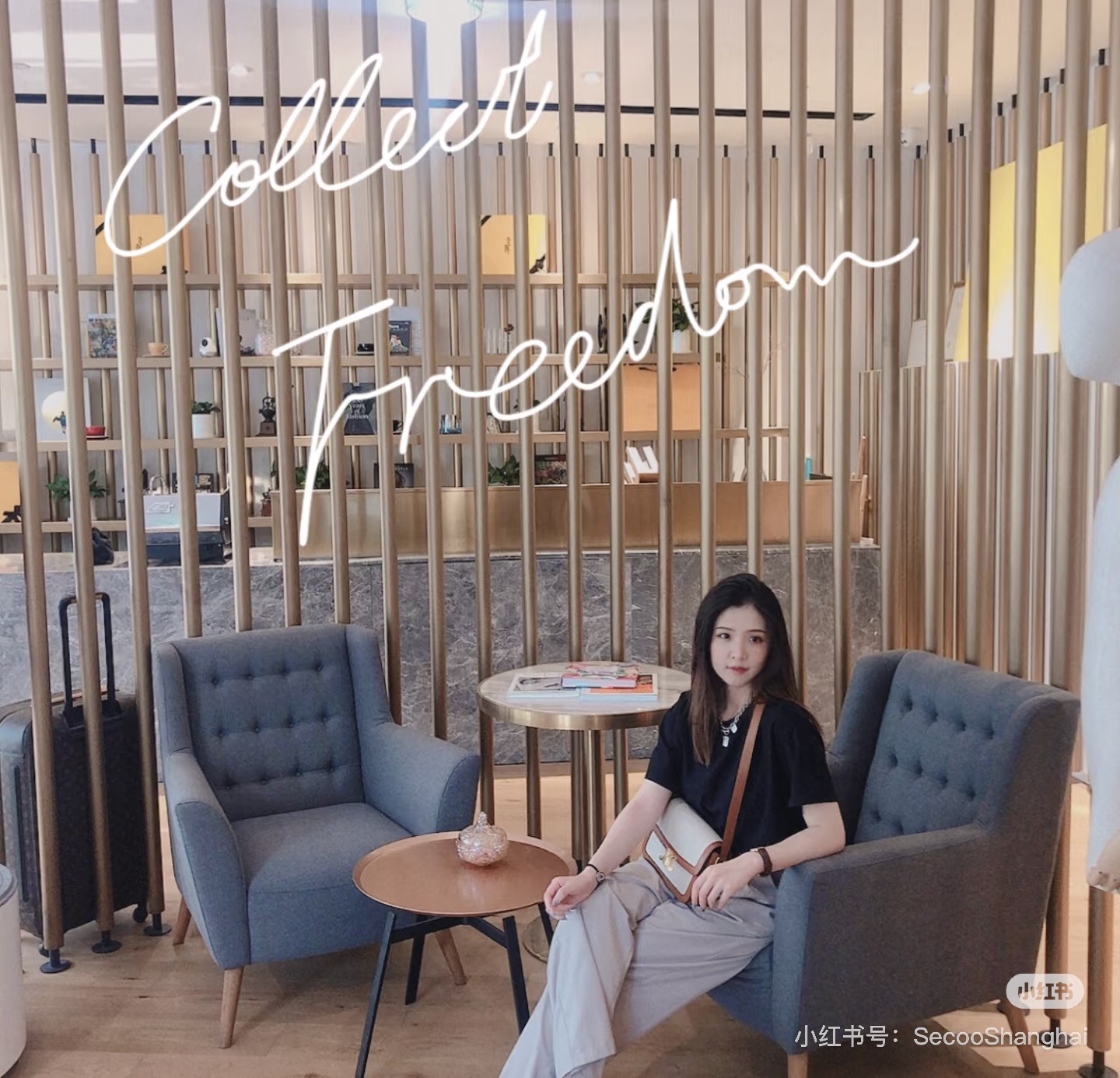 Celine Bag