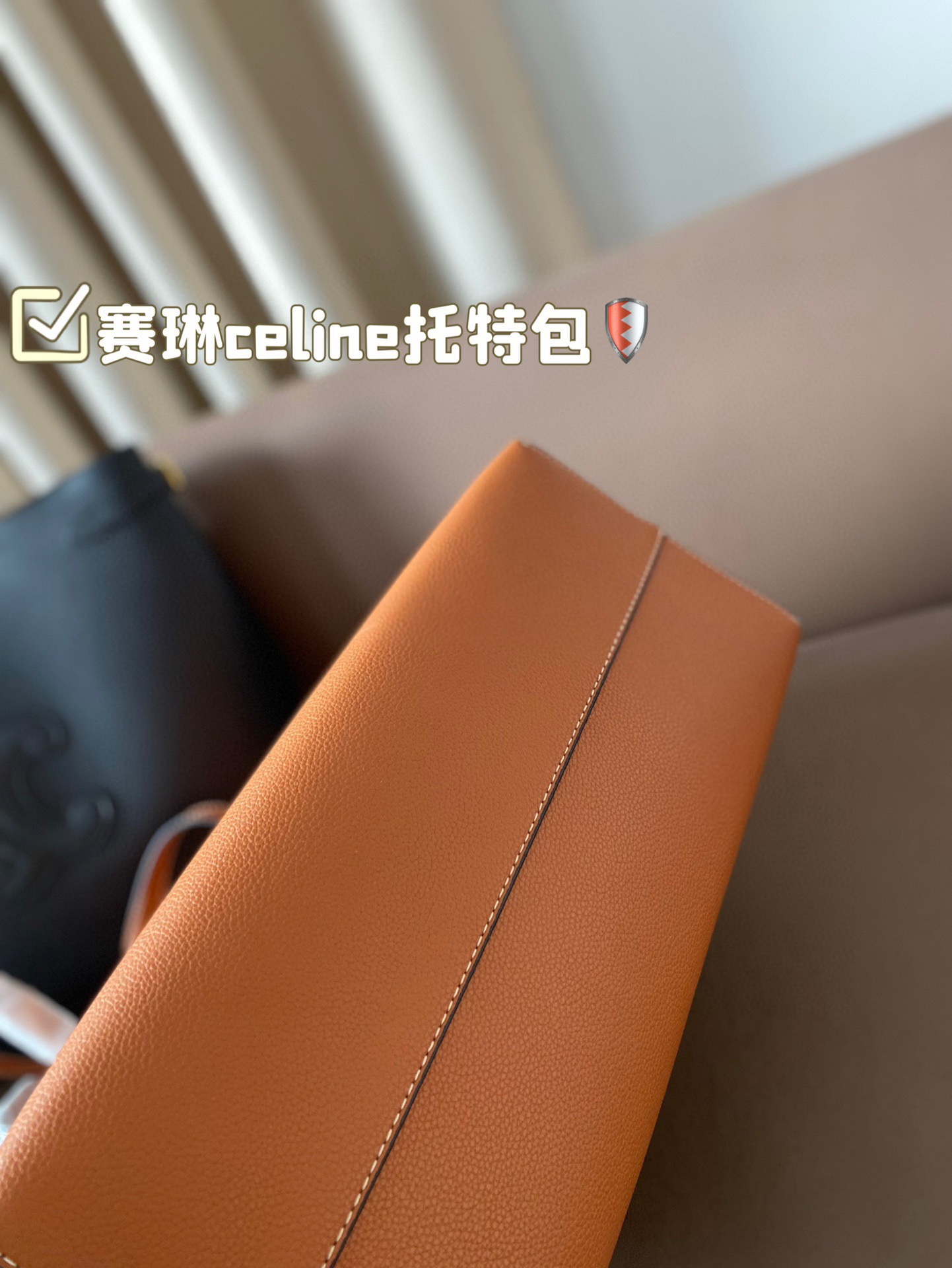 Celine Bag