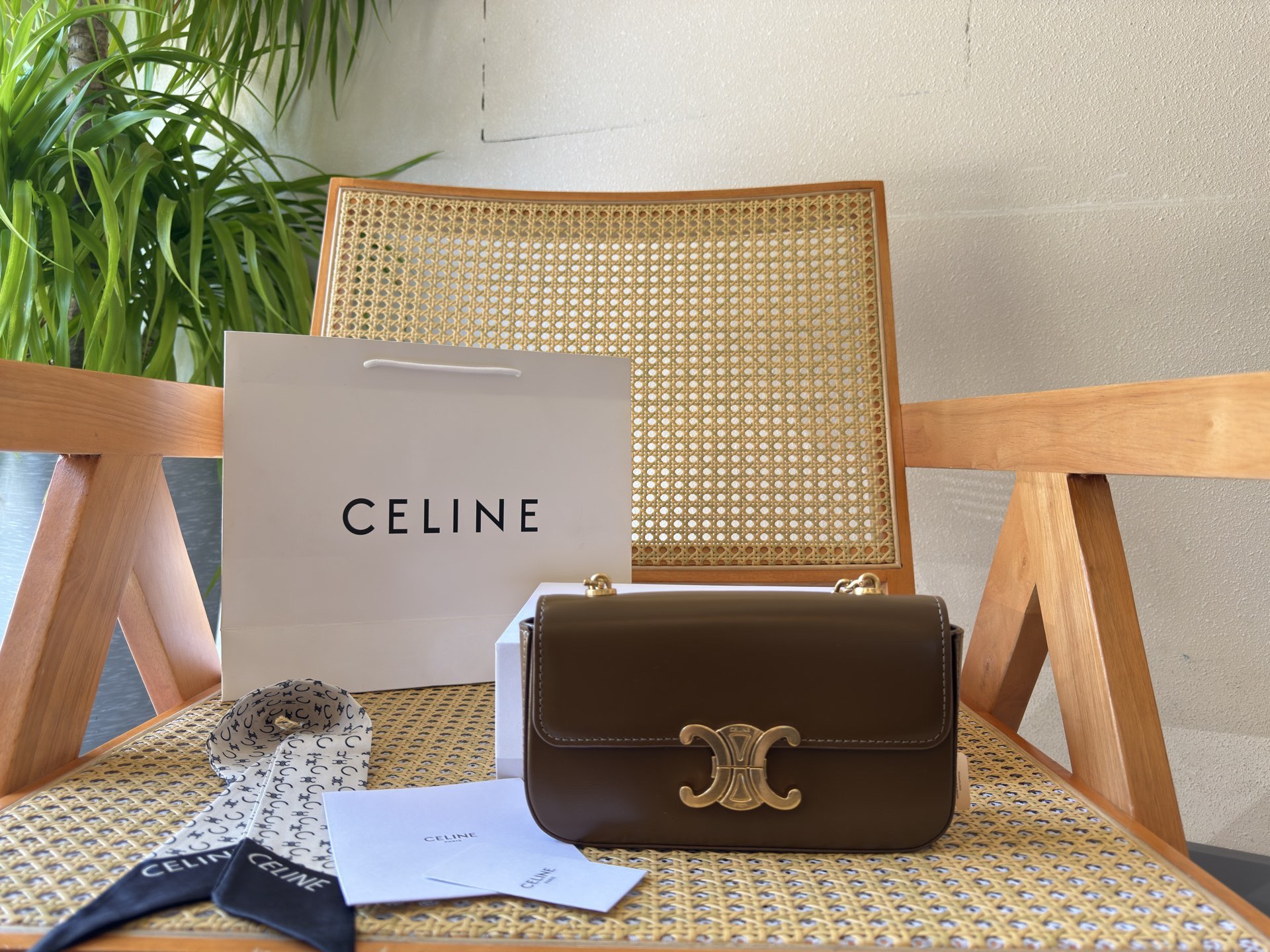 Celine Bag