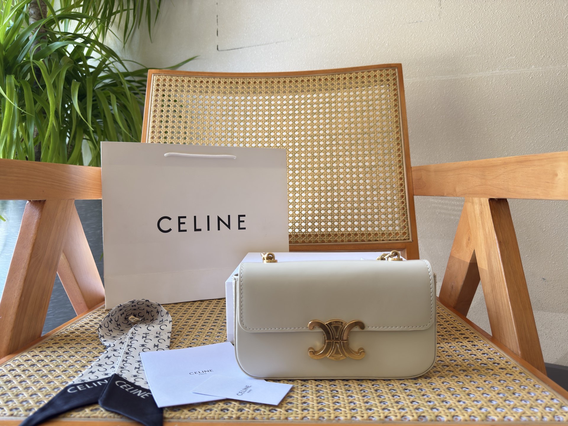 Celine Bag