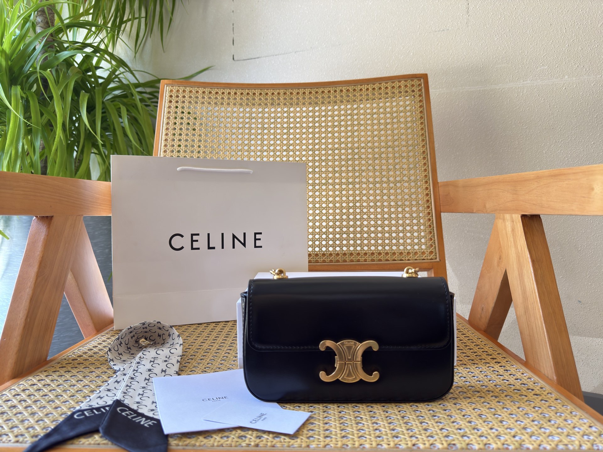 Celine Bag
