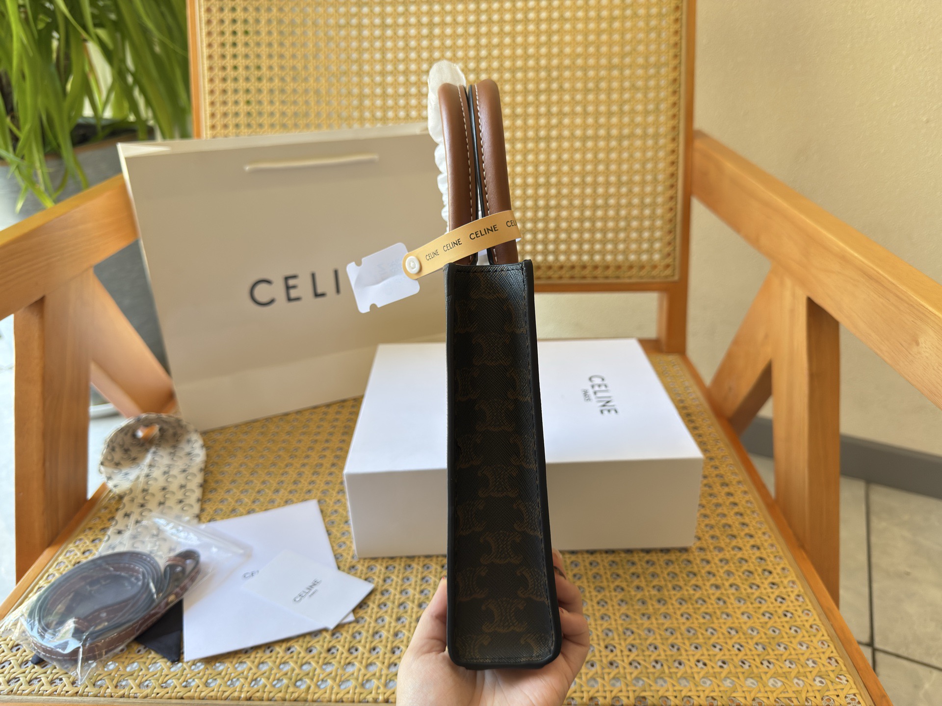 Celine Bag