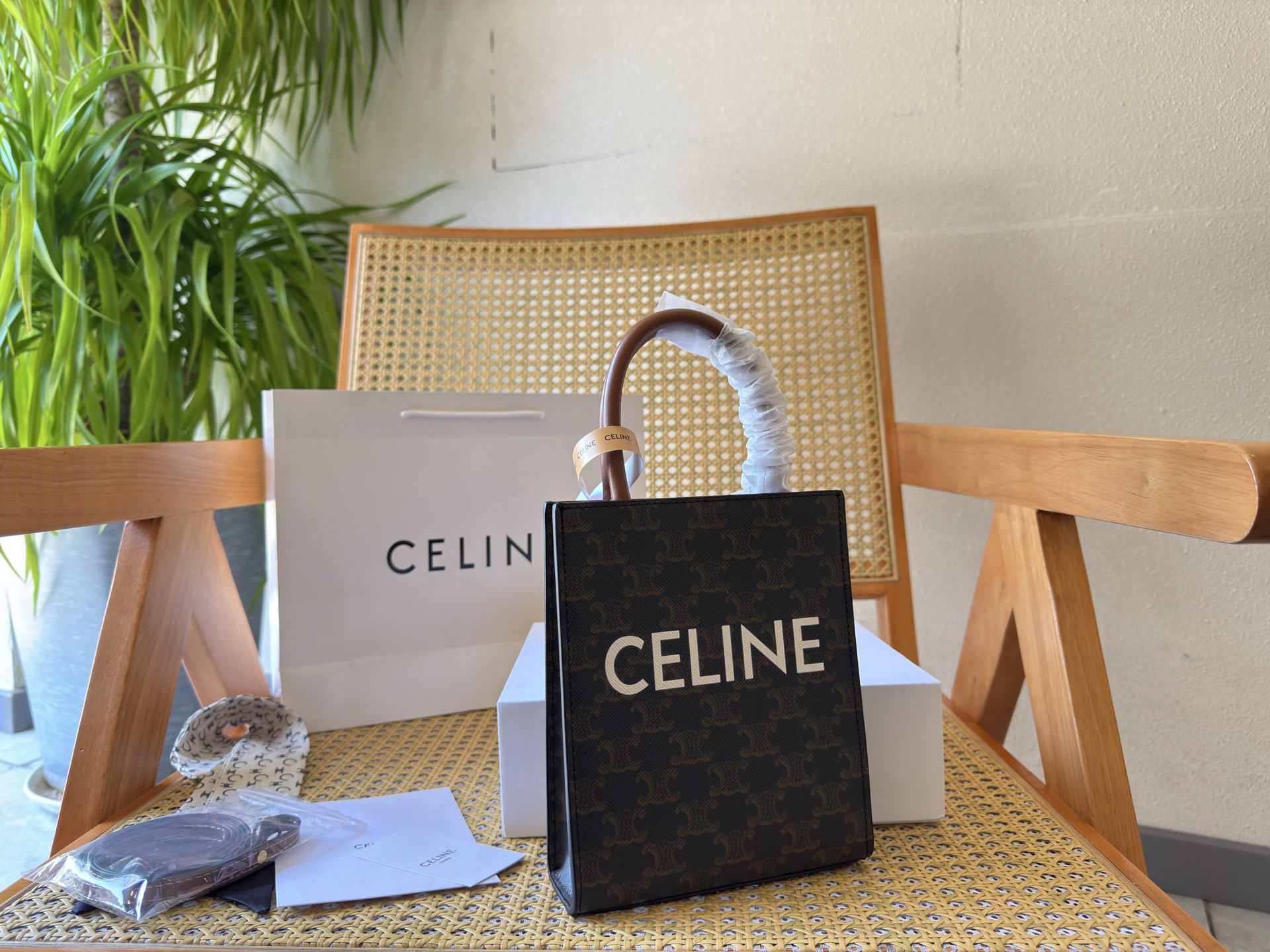 Celine Bag