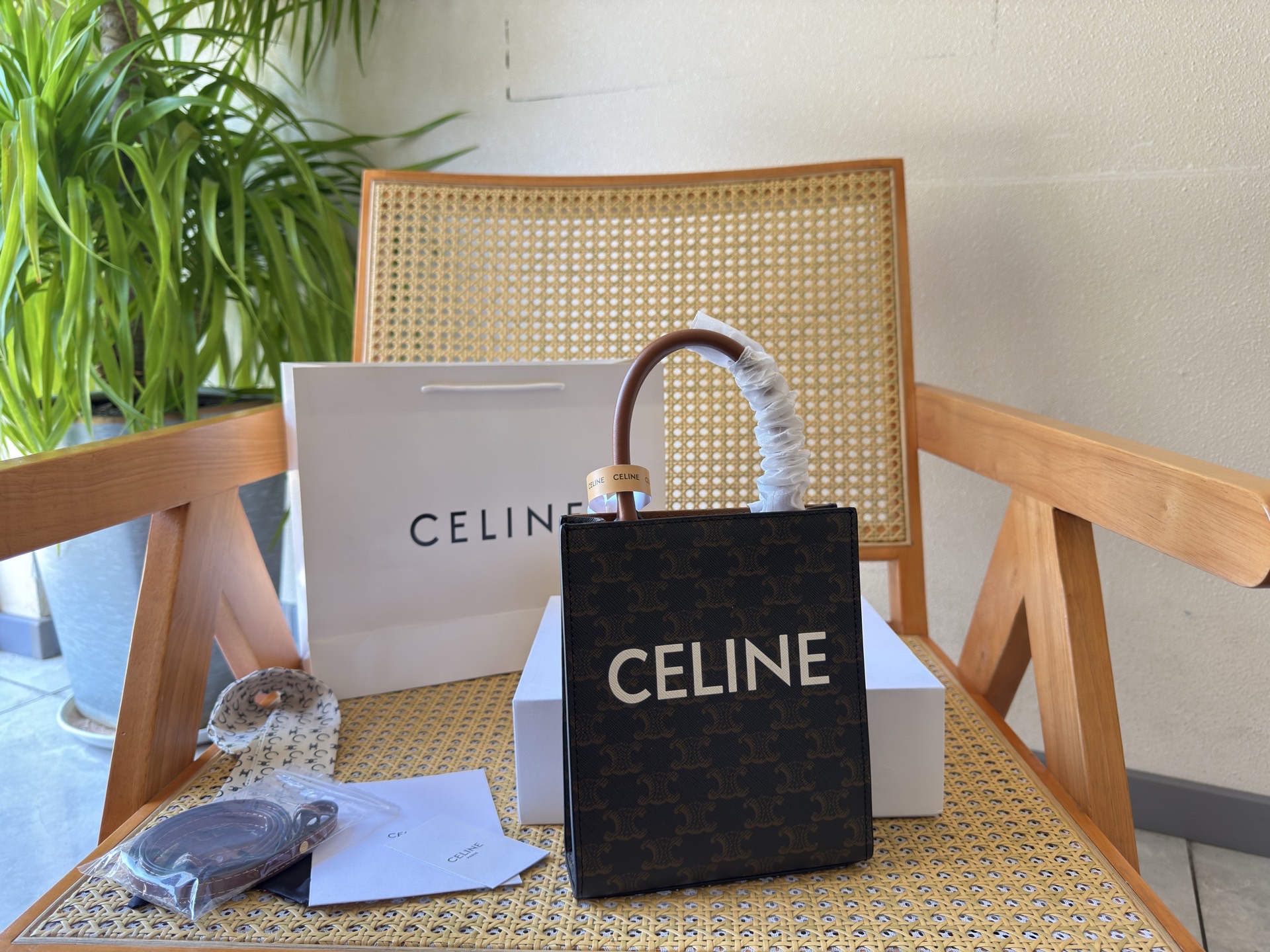Celine Bag