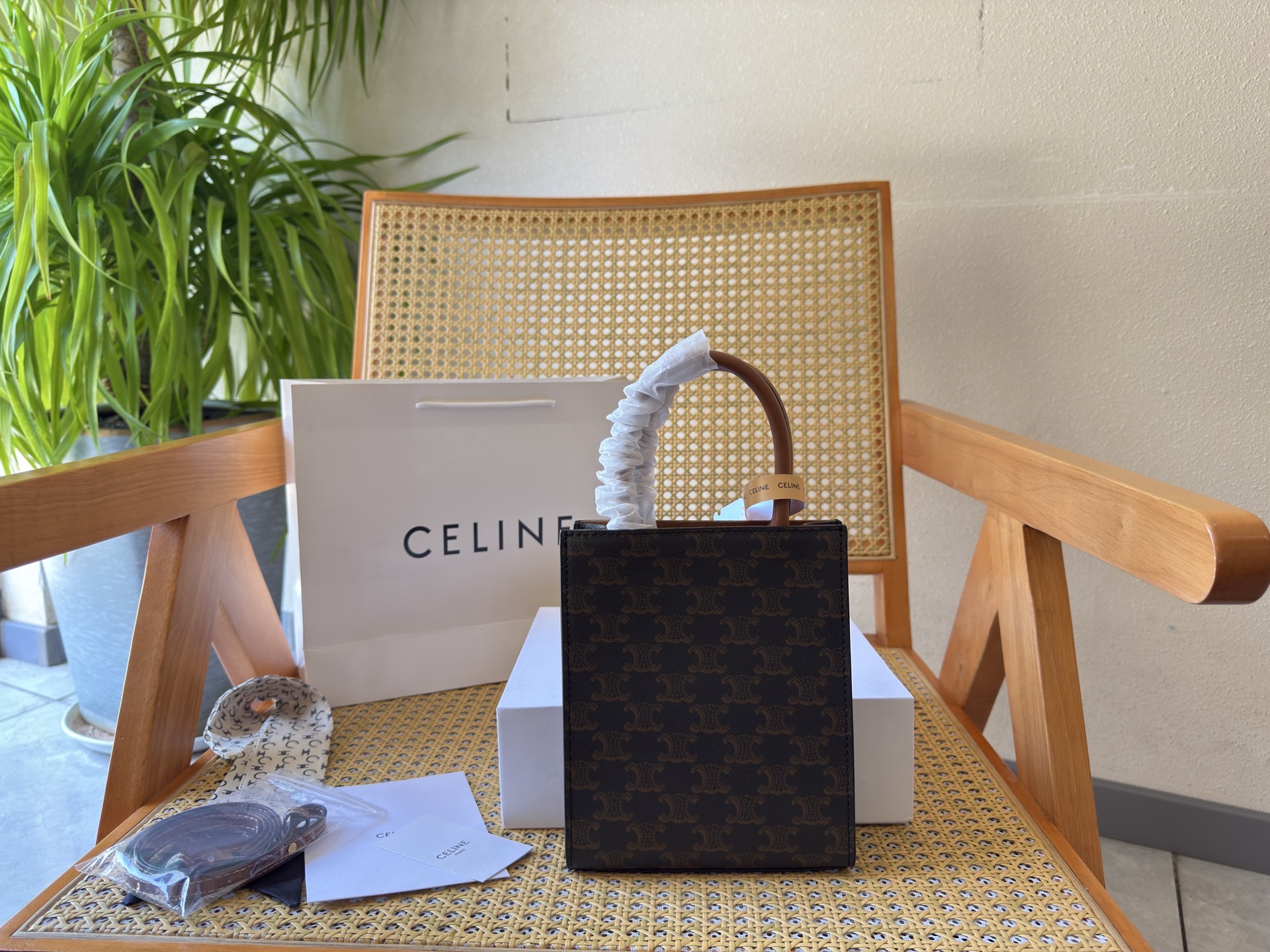 Celine Bag