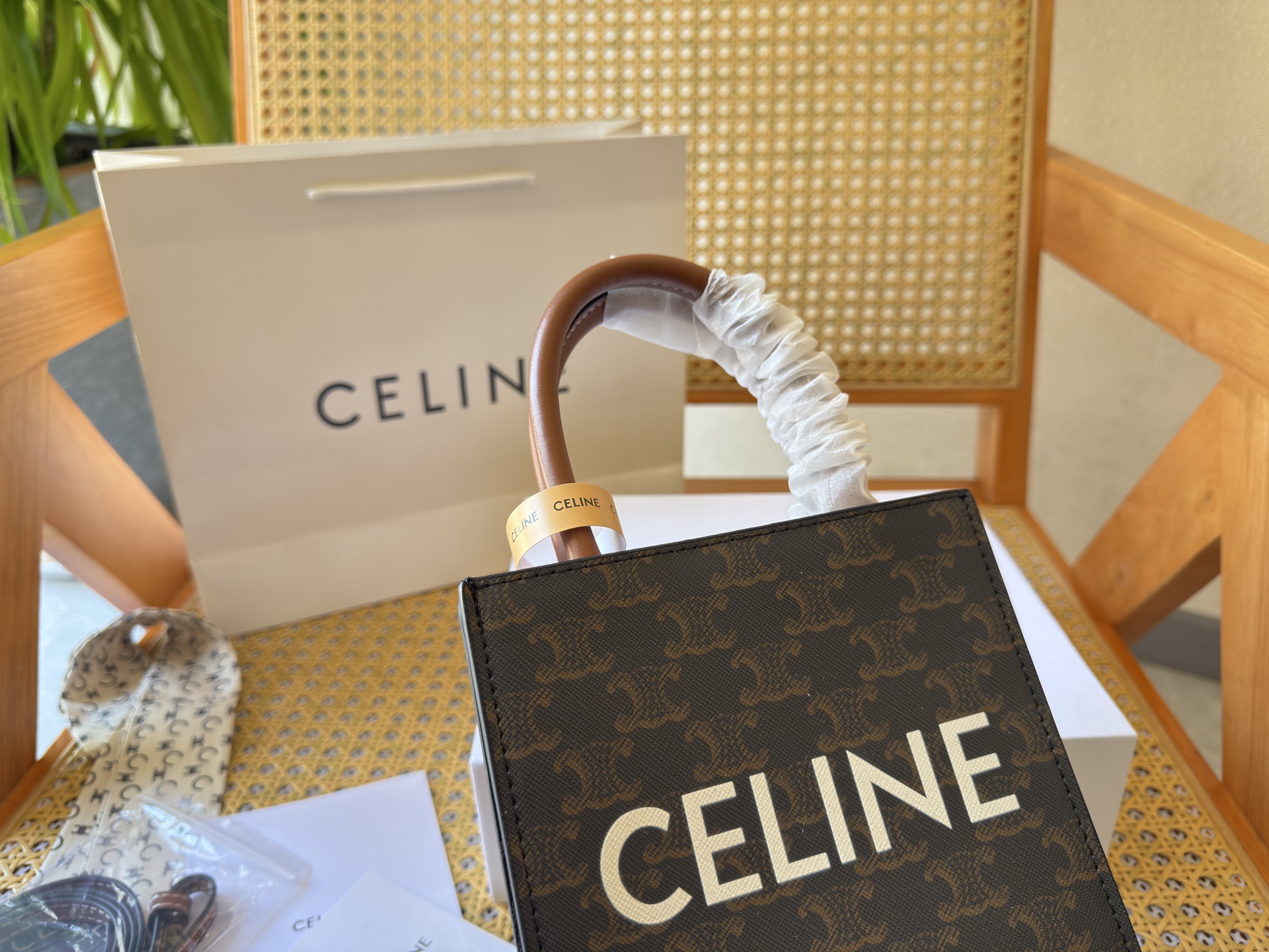 Celine Bag