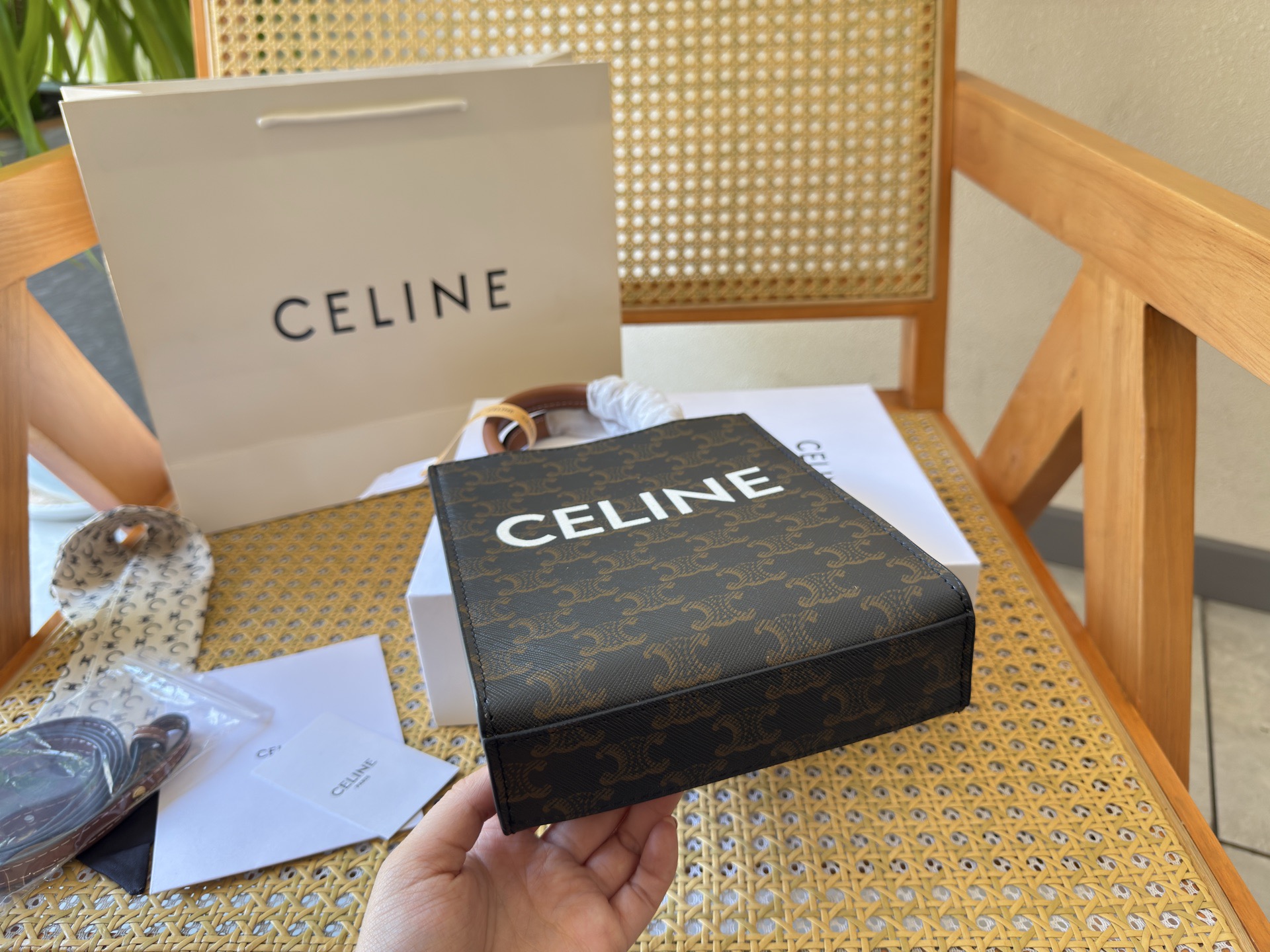 Celine Bag