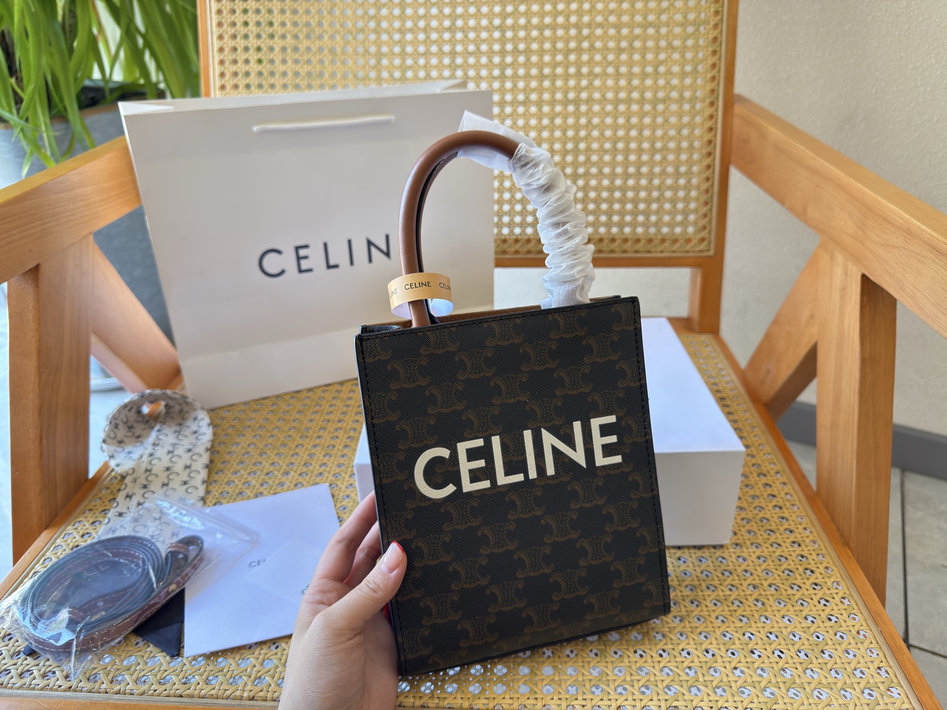 Celine Bag