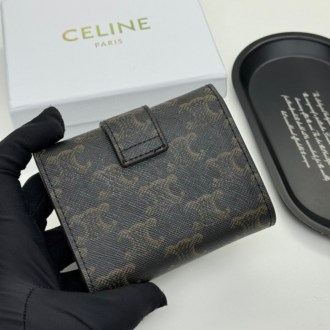 Celine Bag