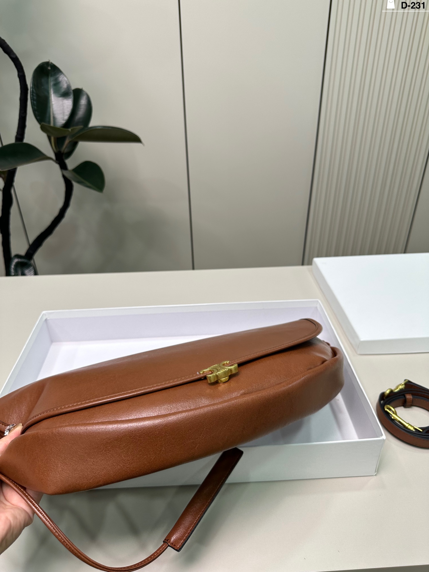 Celine Bag