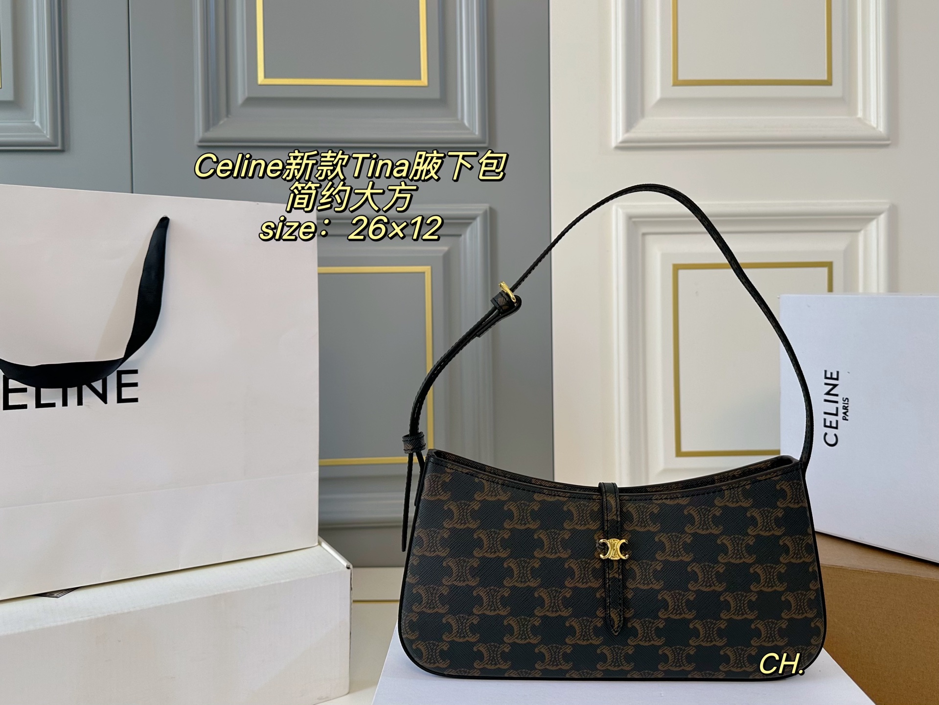 Celine Bag