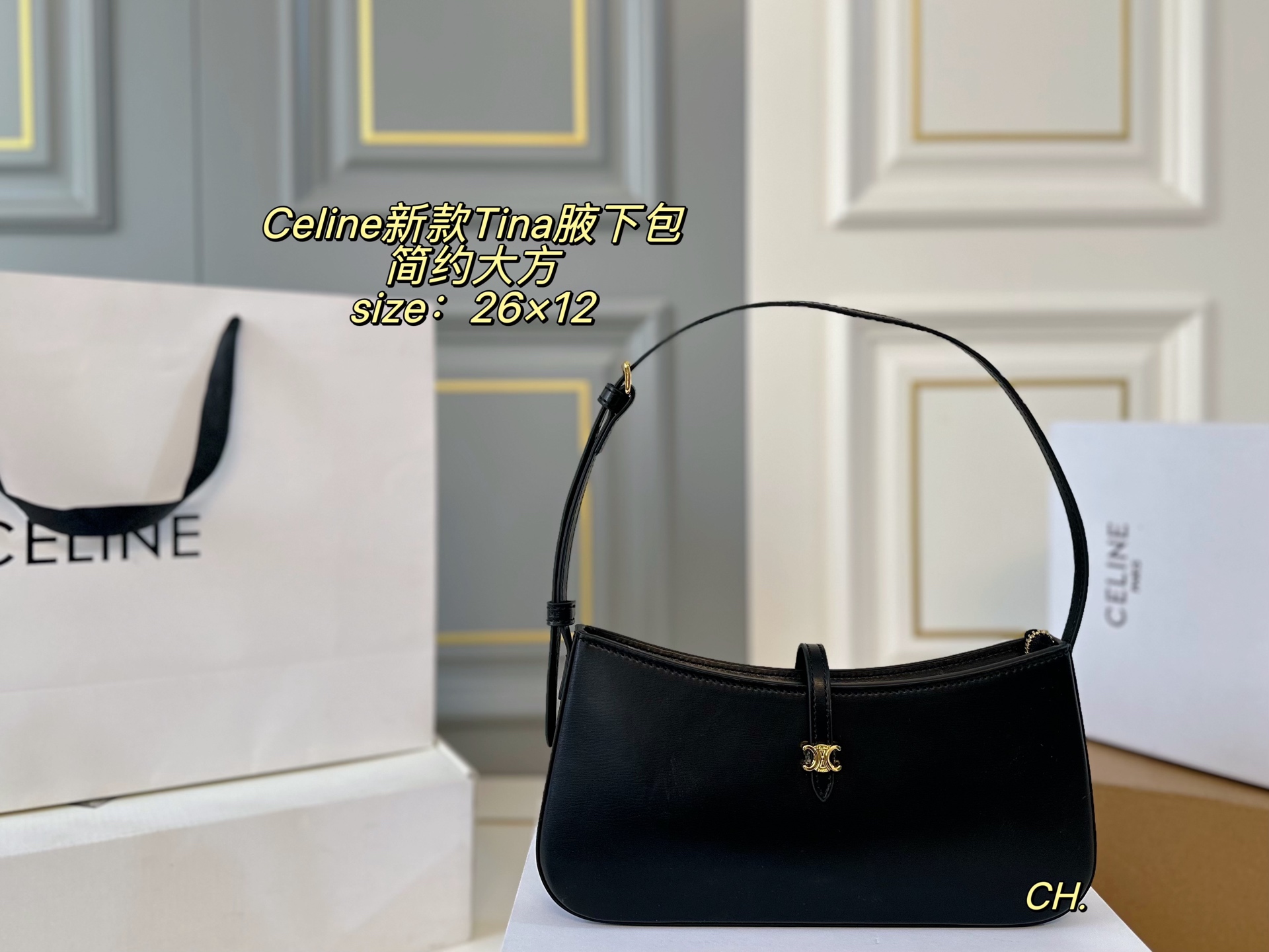 Celine Bag