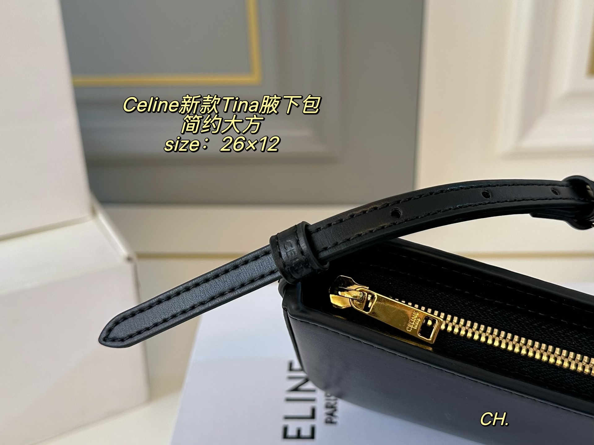 Celine Bag