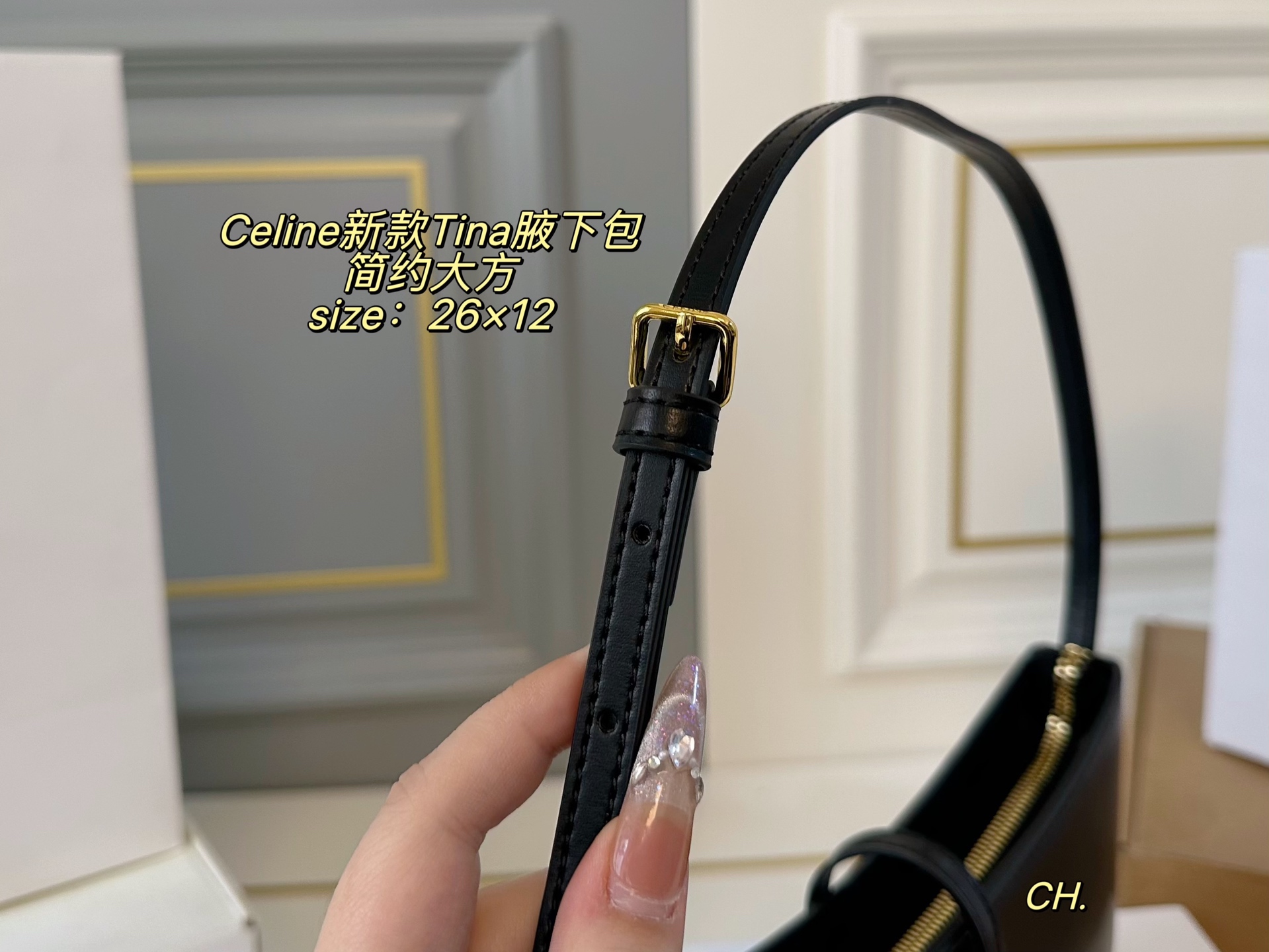 Celine Bag