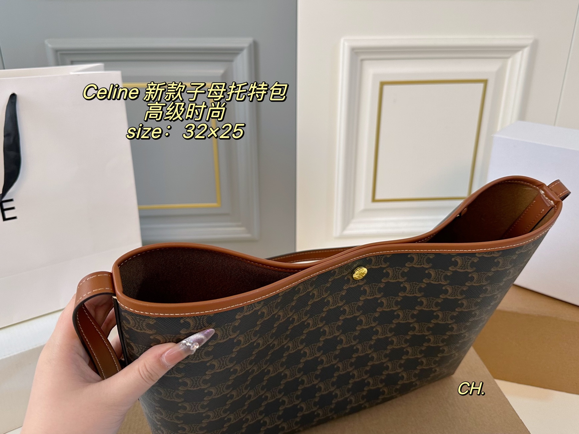 Celine Bag