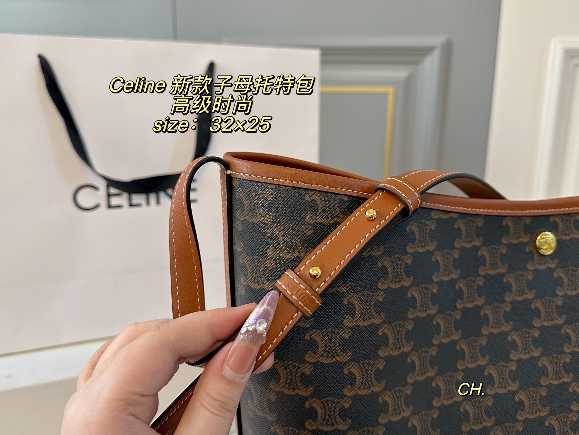 Celine Bag