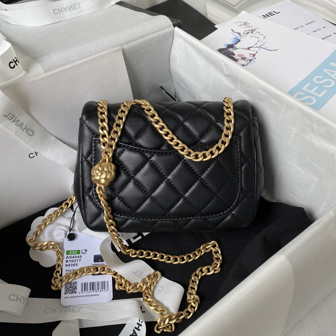 Chanel Bag