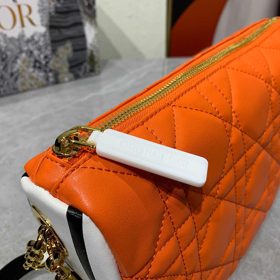 Dior Bag