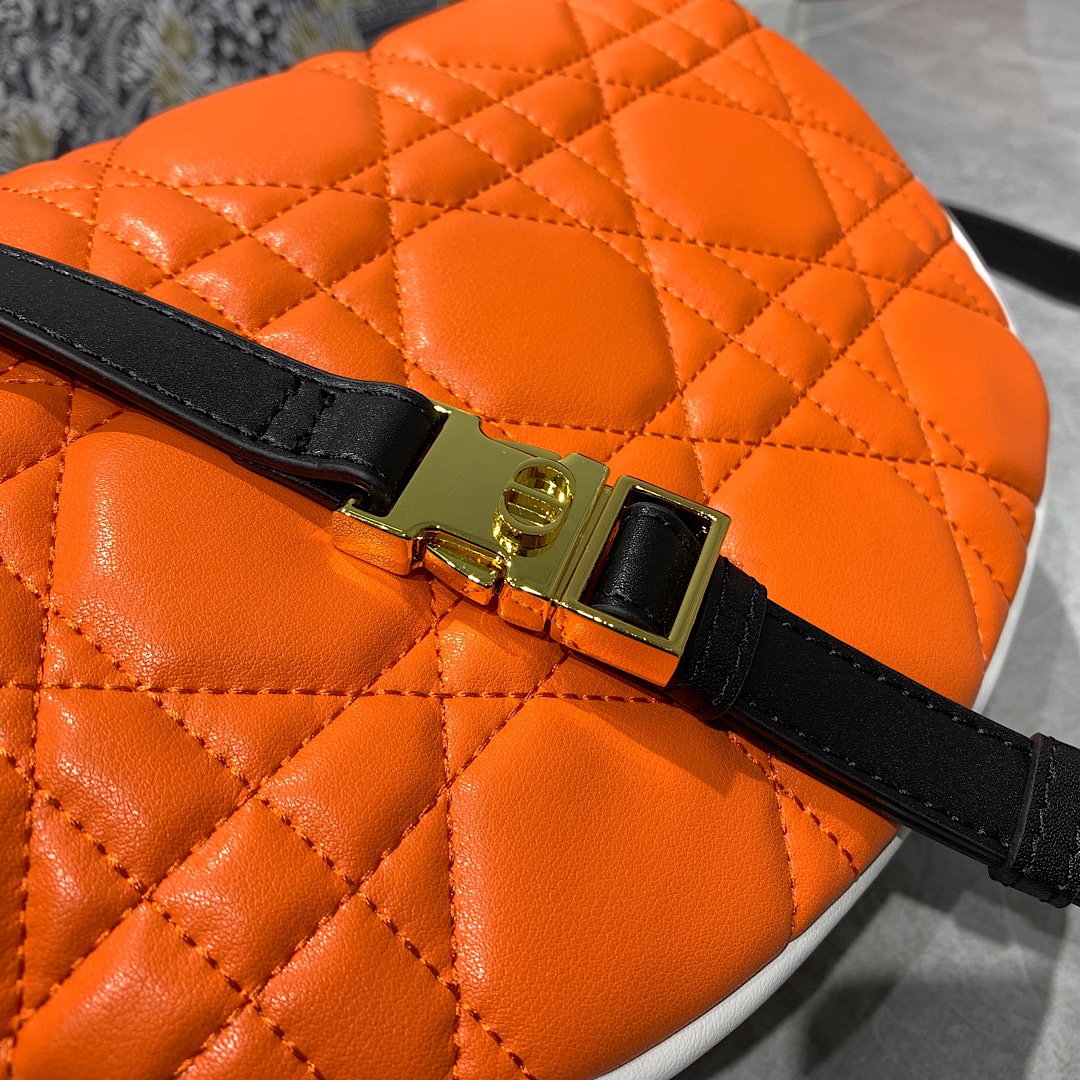 Dior Bag