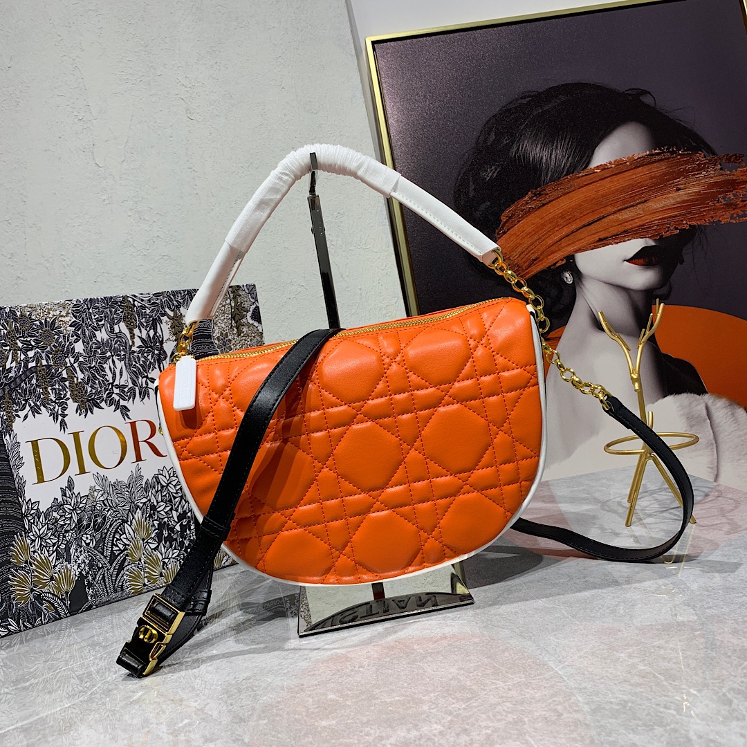 Dior Bag
