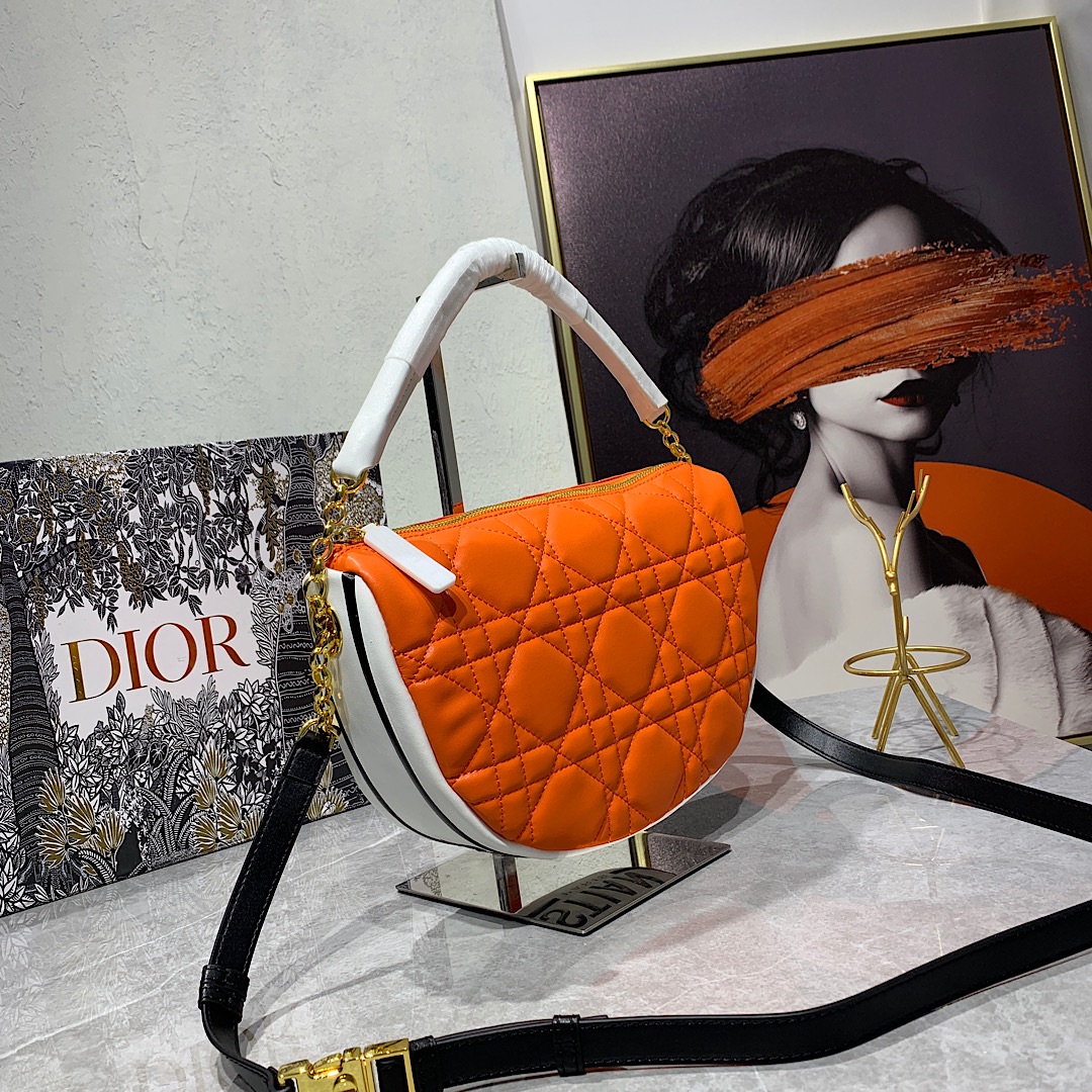 Dior Bag