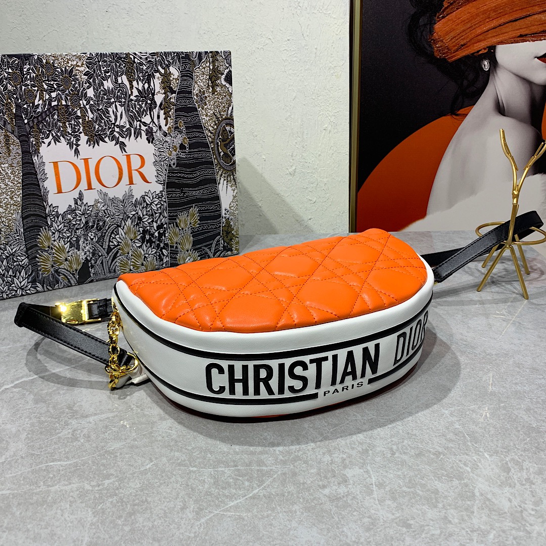 Dior Bag