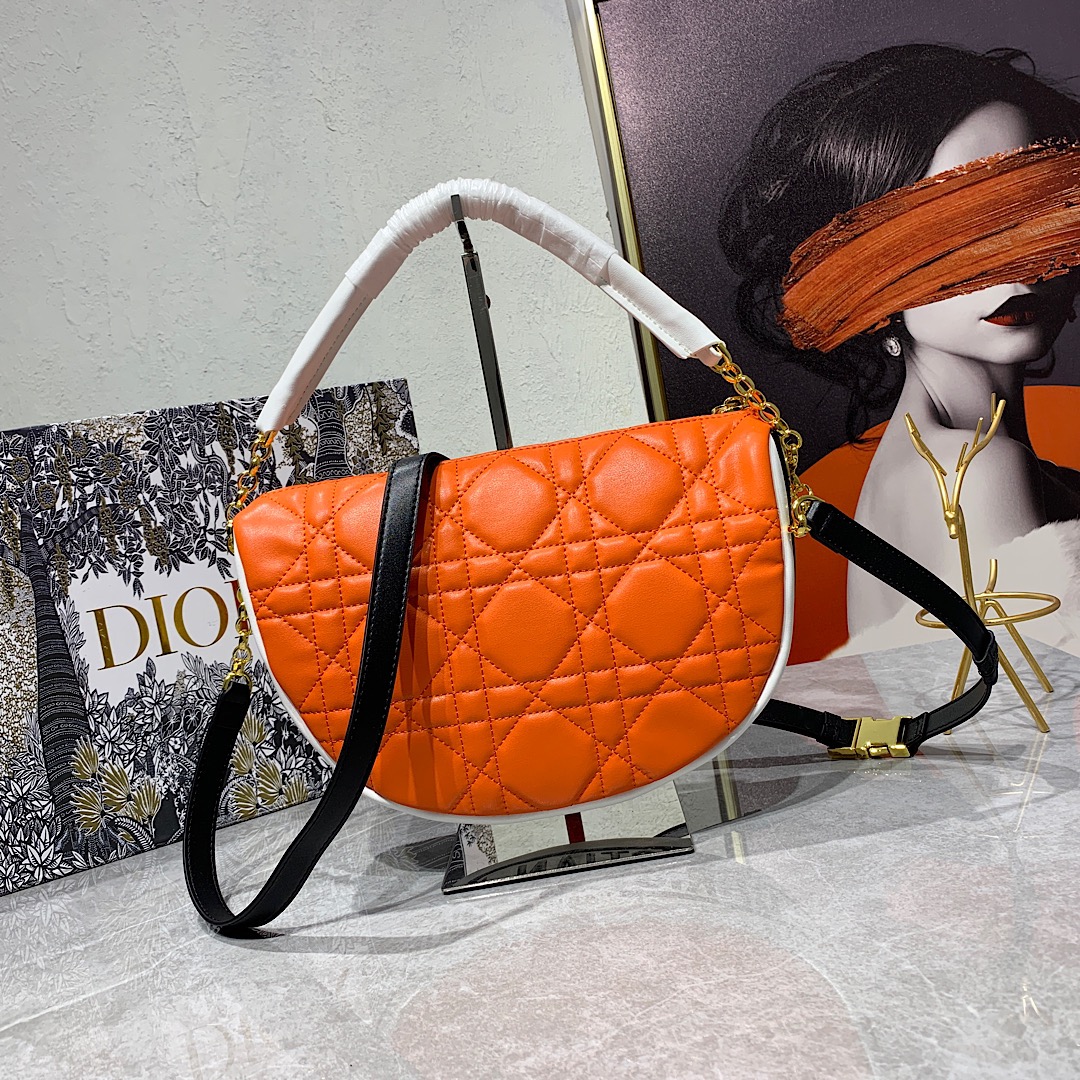 Dior Bag