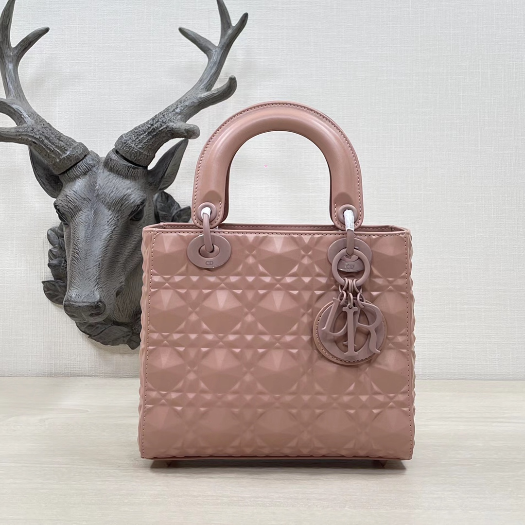 Dior Bag