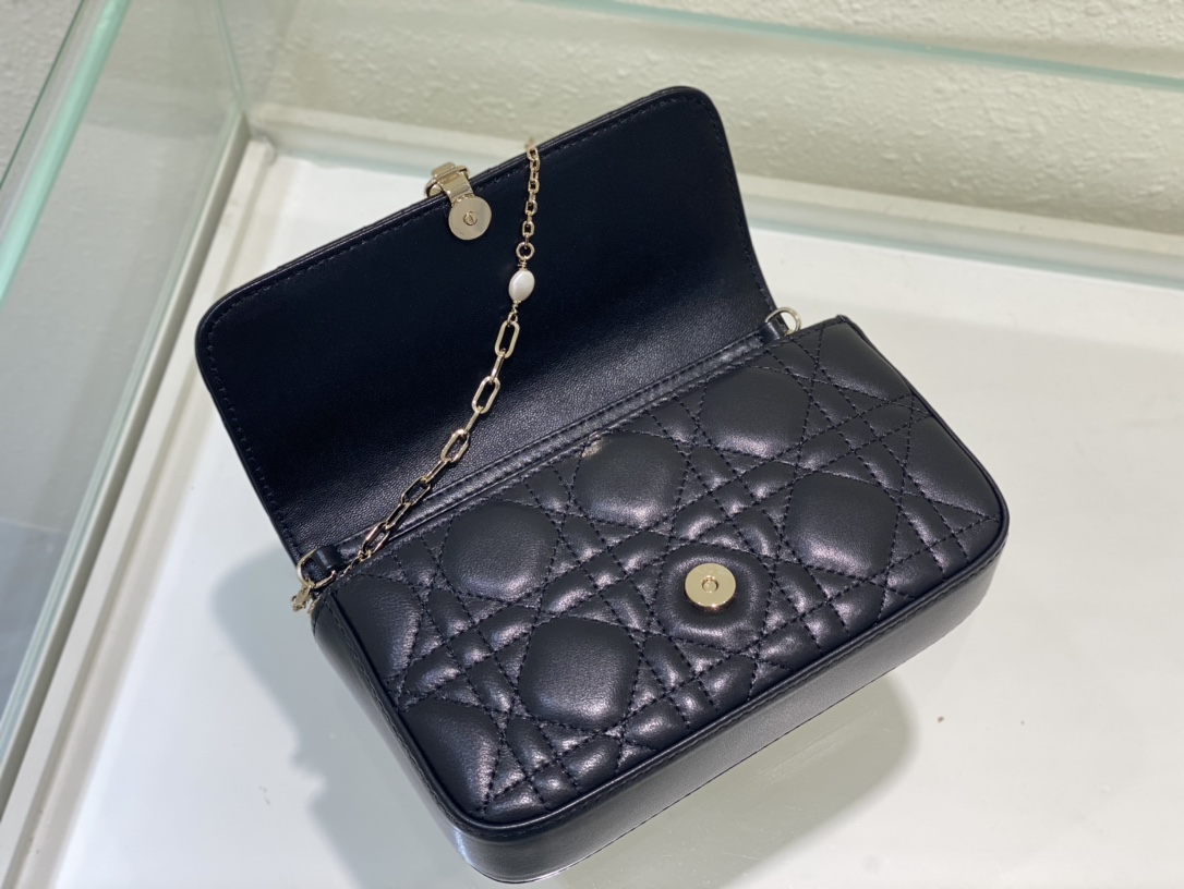 Dior Bag