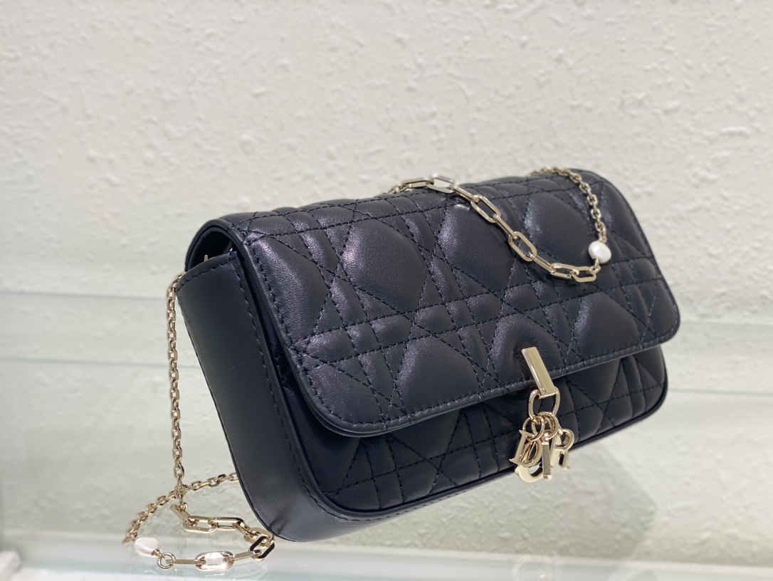 Dior Bag