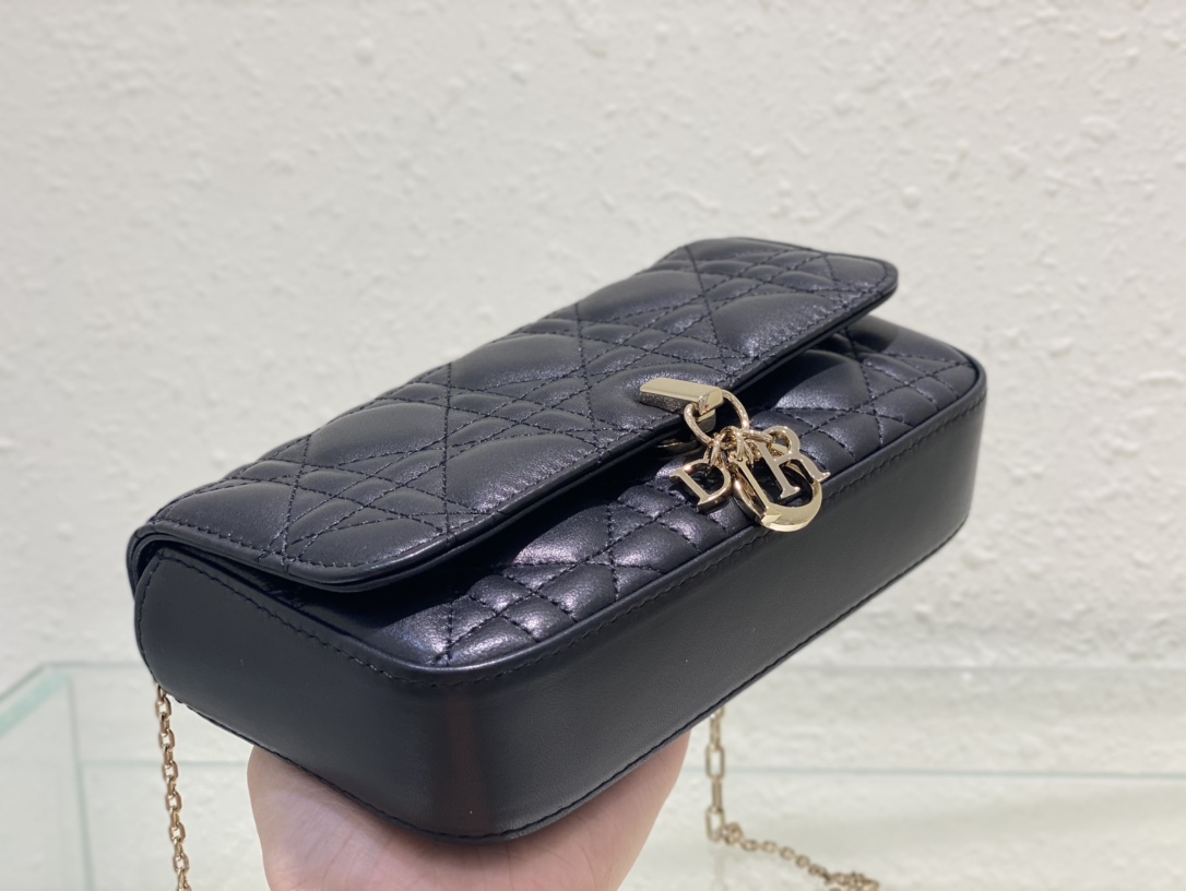Dior Bag