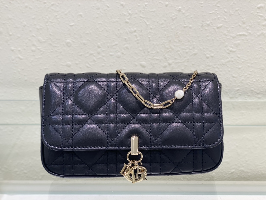 Dior Bag