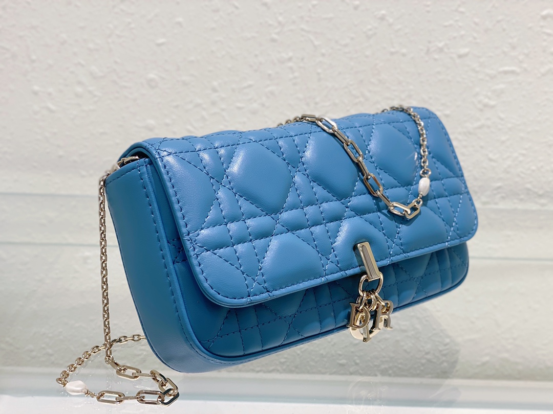 Dior Bag