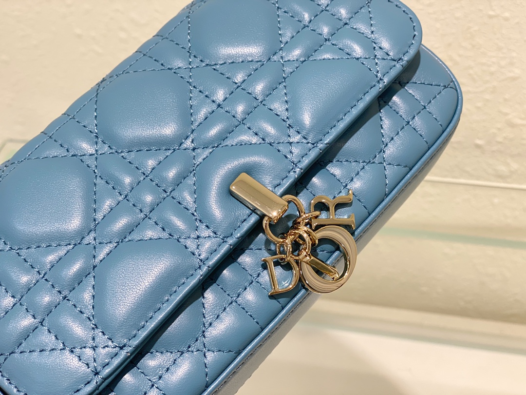 Dior Bag
